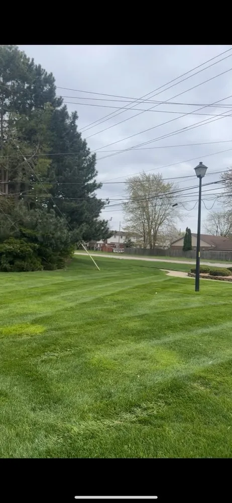 Expert landscaping services experts serving Taylor, MI - Castaneda Property Maintenance