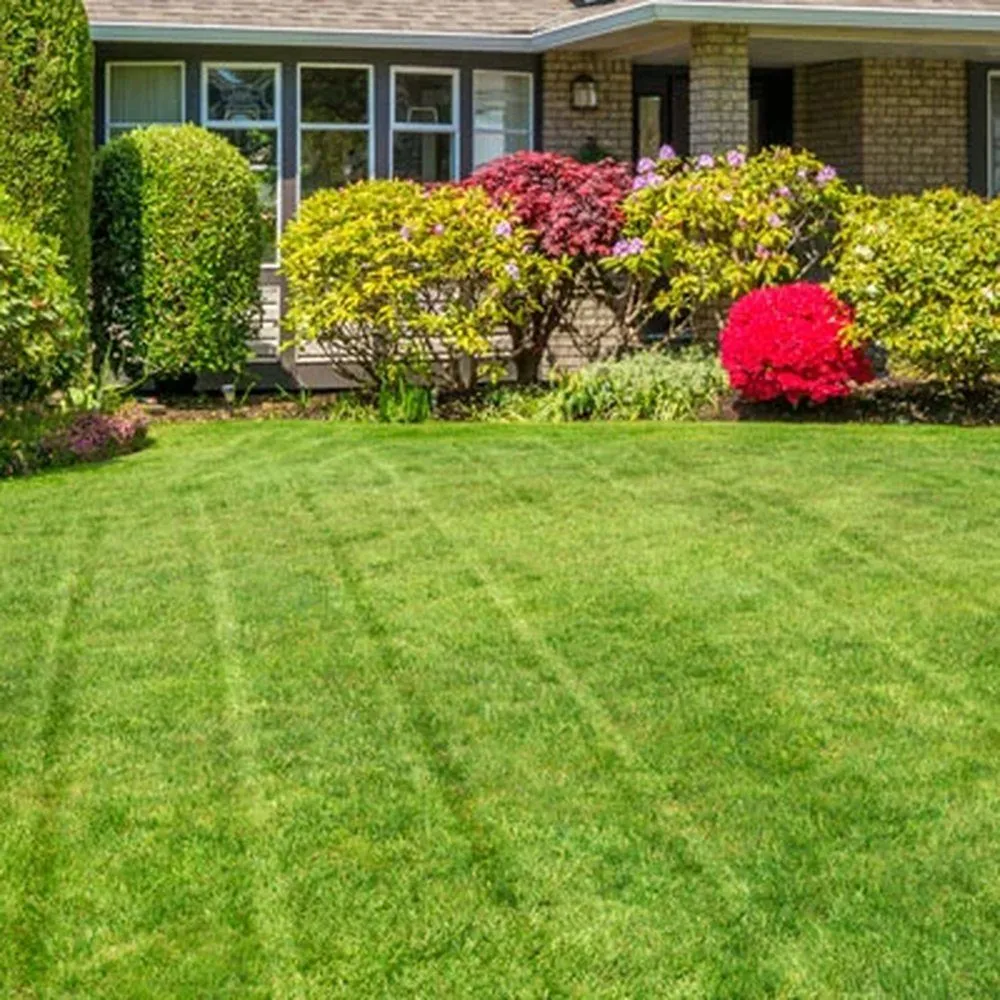 Affordable residential landscaping for residential properties across Manassas, VA - Castaneda's Land services