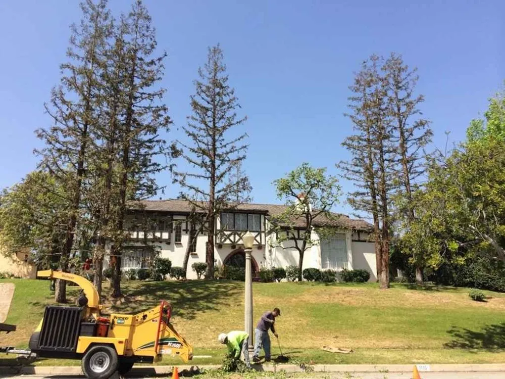 Custom garden landscaping near you across San Gabriel, CA - Castaneda's Tree Trimming