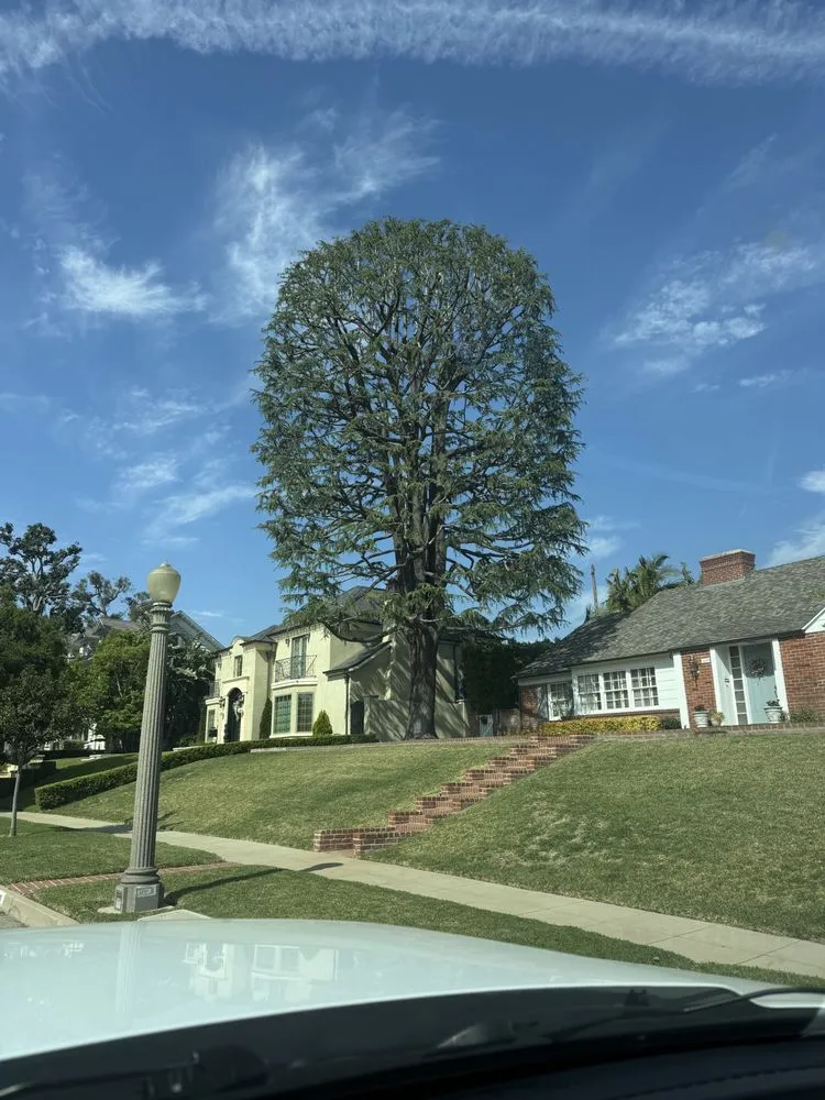 Expert garden landscaping in San Gabriel, CA - Castaneda's Tree Trimming