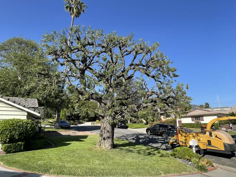 Local landscaping services in San Gabriel, CA - Castaneda's Tree Trimming