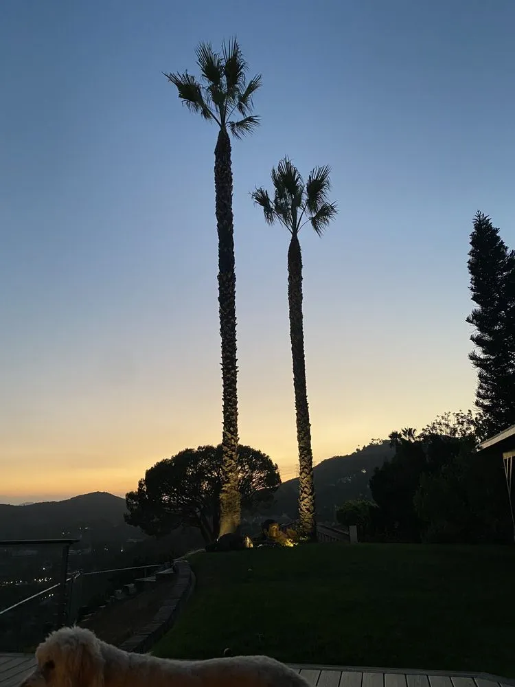 Custom outdoor landscaping in San Gabriel, CA - Castaneda's Tree Trimming
