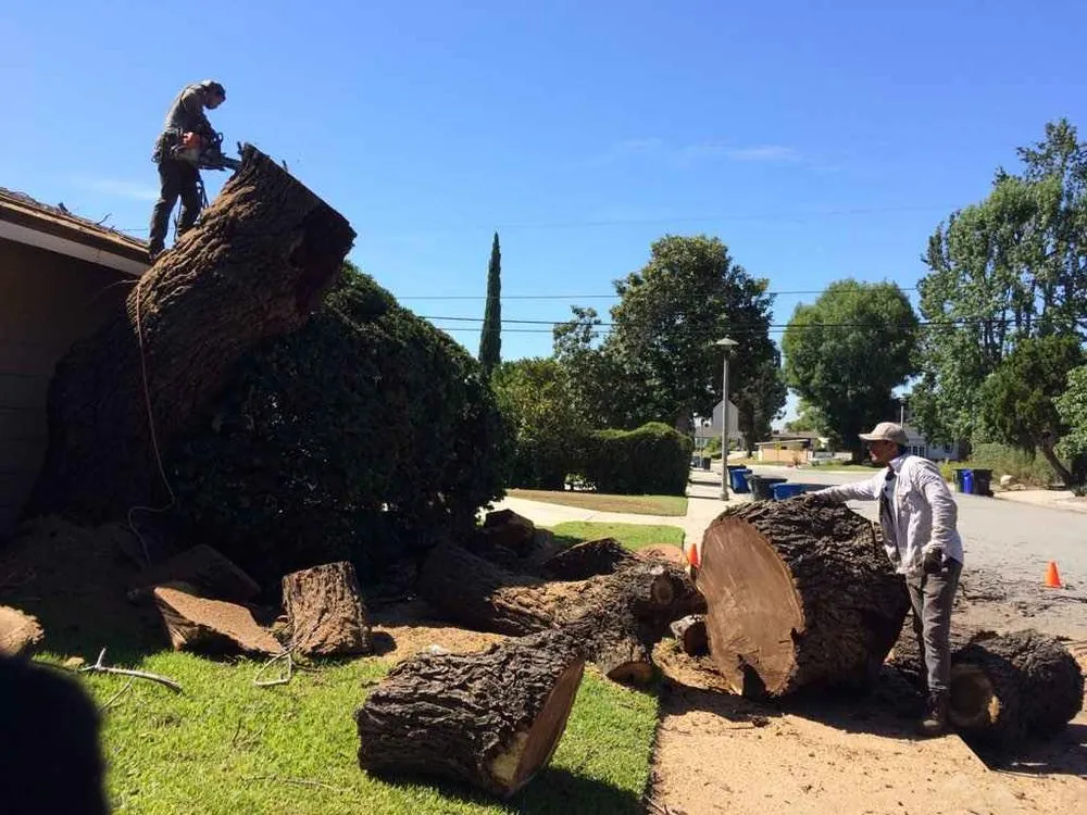 Reliable garden landscaping experts serving San Gabriel, CA - Castaneda's Tree Trimming