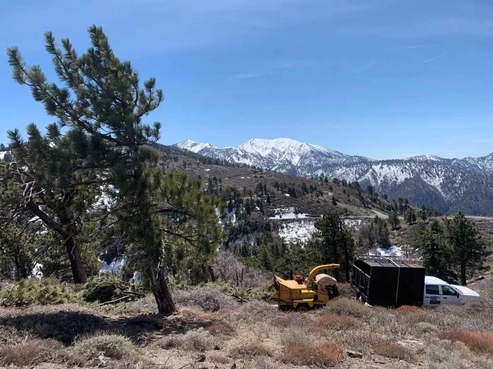 Affordable landscaping services in San Gabriel, CA by Castaneda's Tree Trimming