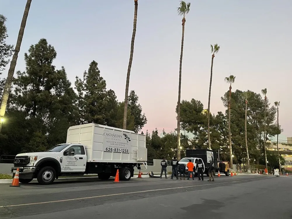 Custom garden landscaping in San Gabriel, CA - Castaneda's Tree Trimming