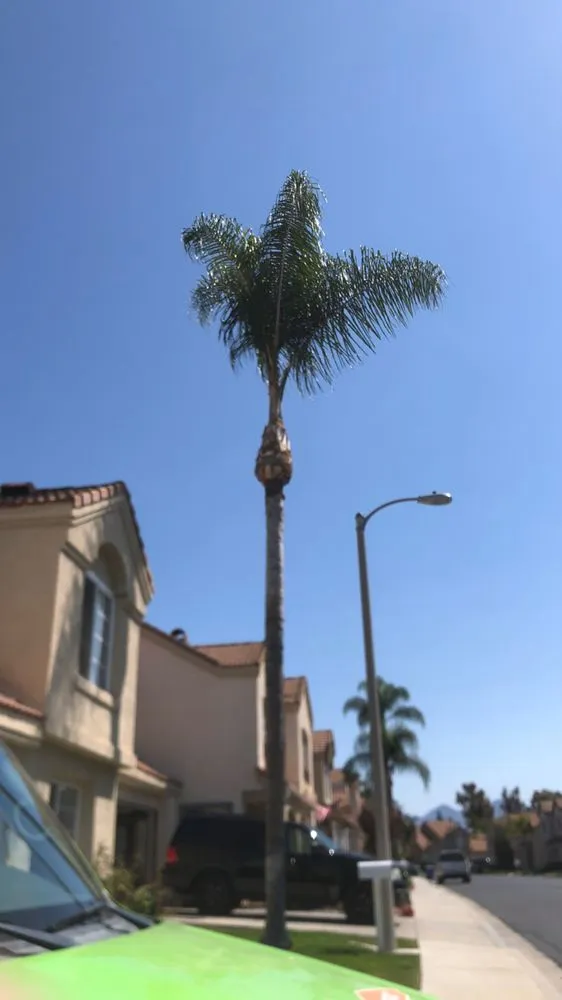 Top-rated landscape installation experts serving San Juan Capistrano, CA - Castanon Landscaping