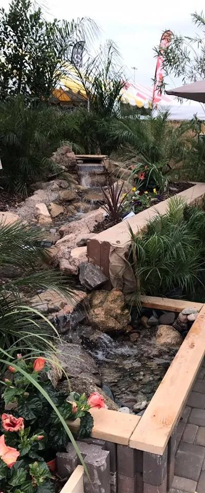 Professional yard cleanup service experts serving Glendale, AZ - Castcade Arizona