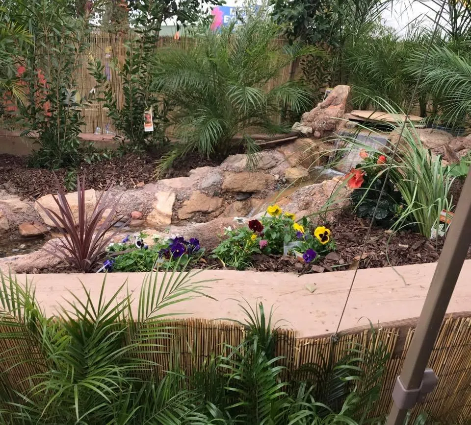 Top-rated outdoor landscaping for beautiful yards across Glendale, AZ - Castcade Arizona
