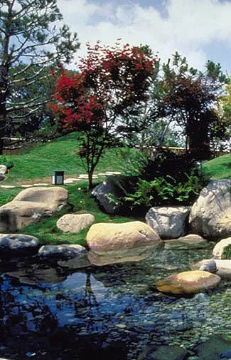 Professional garden landscaping in Glendale, AZ by Castcade Arizona