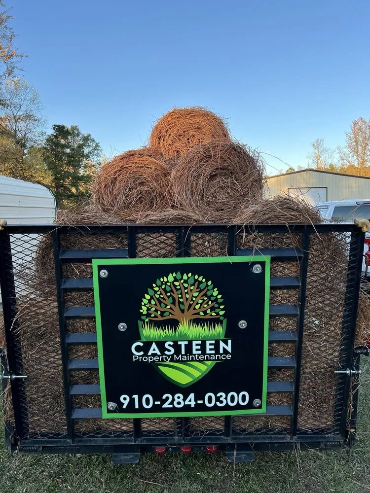 Affordable landscape design in Wallace, NC - Casteen Property Maintenance