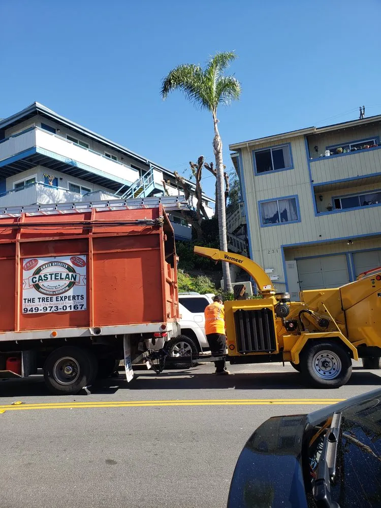 Professional lawn mowing service for beautiful yards across Santa Ana, CA - Castelan The Tree Experts 