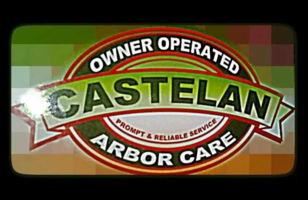 Professional lawn care service in Santa Ana, CA by Castelan The Tree Experts 