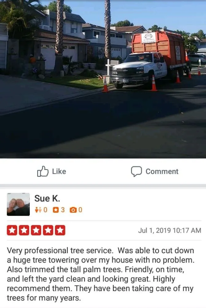 Local landscaping services with custom design across Santa Ana, CA - Castelan The Tree Experts 