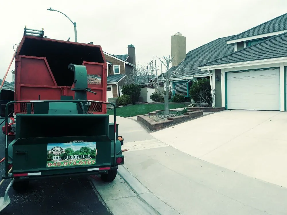 Expert outdoor landscaping experts serving Santa Ana, CA - Castelan The Tree Experts 