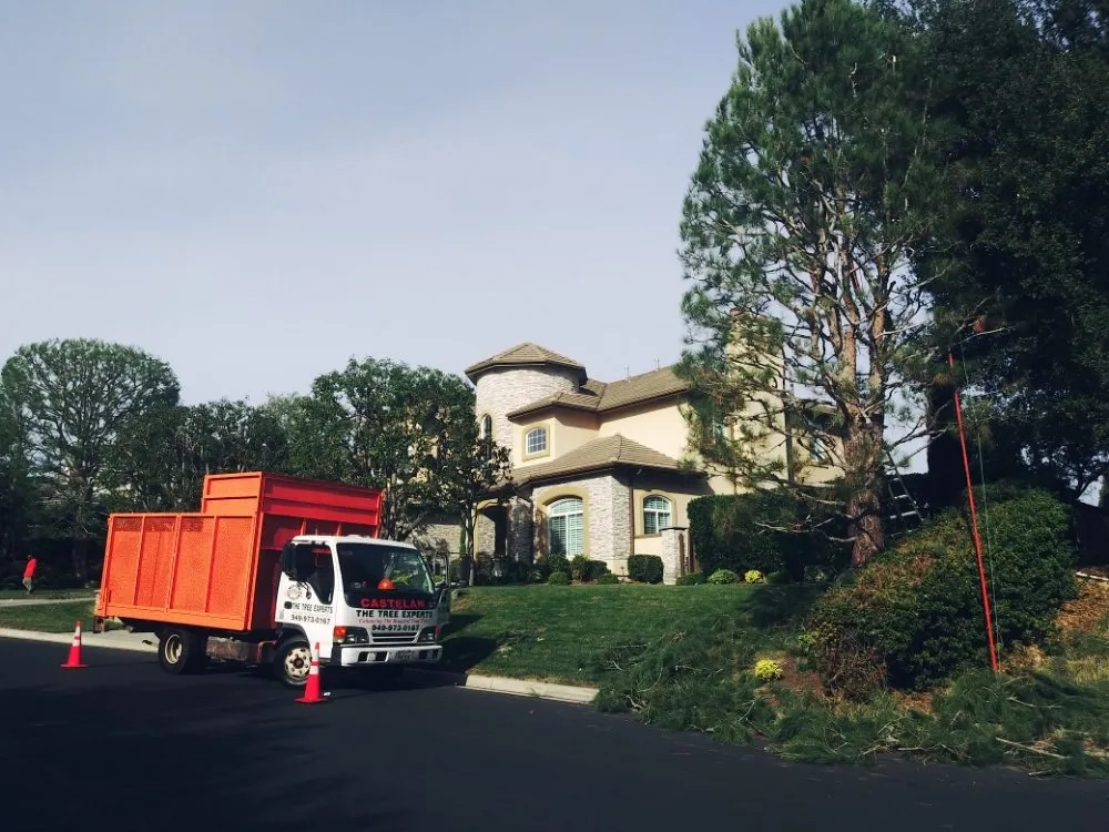 Custom landscape installation experts serving Santa Ana, CA - Castelan The Tree Experts 