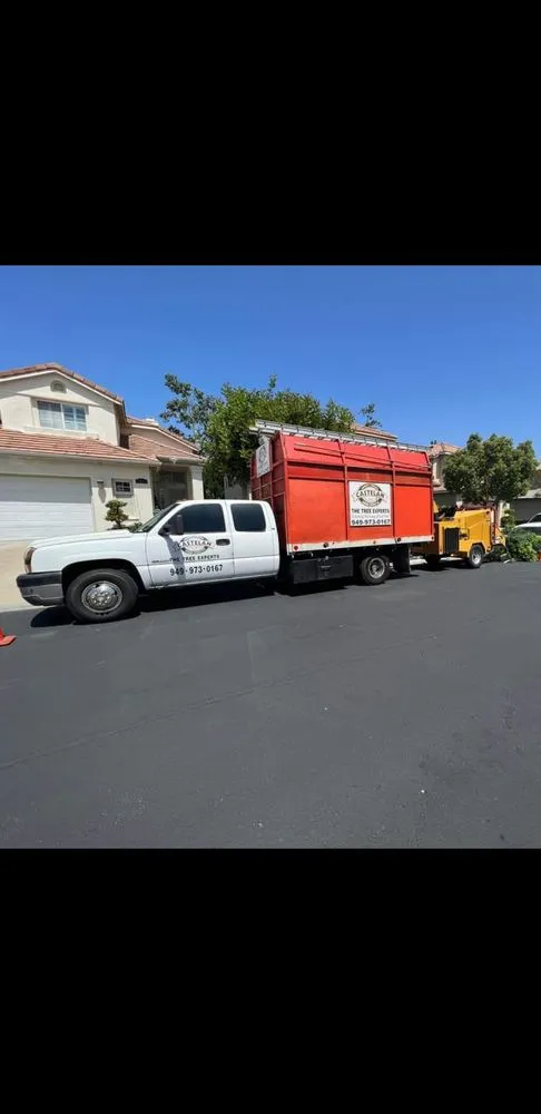 Expert landscape design experts serving Santa Ana, CA - Castelan The Tree Experts 