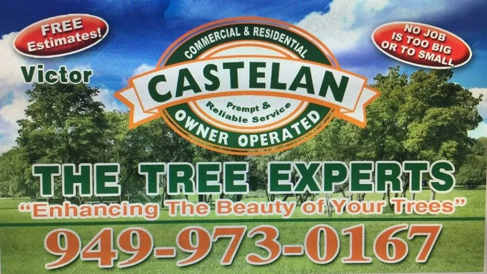 Professional landscaping services in Santa Ana, CA by Castelan The Tree Experts 
