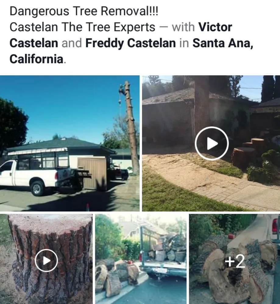 Local garden landscaping in Santa Ana, CA by Castelan The Tree Experts 