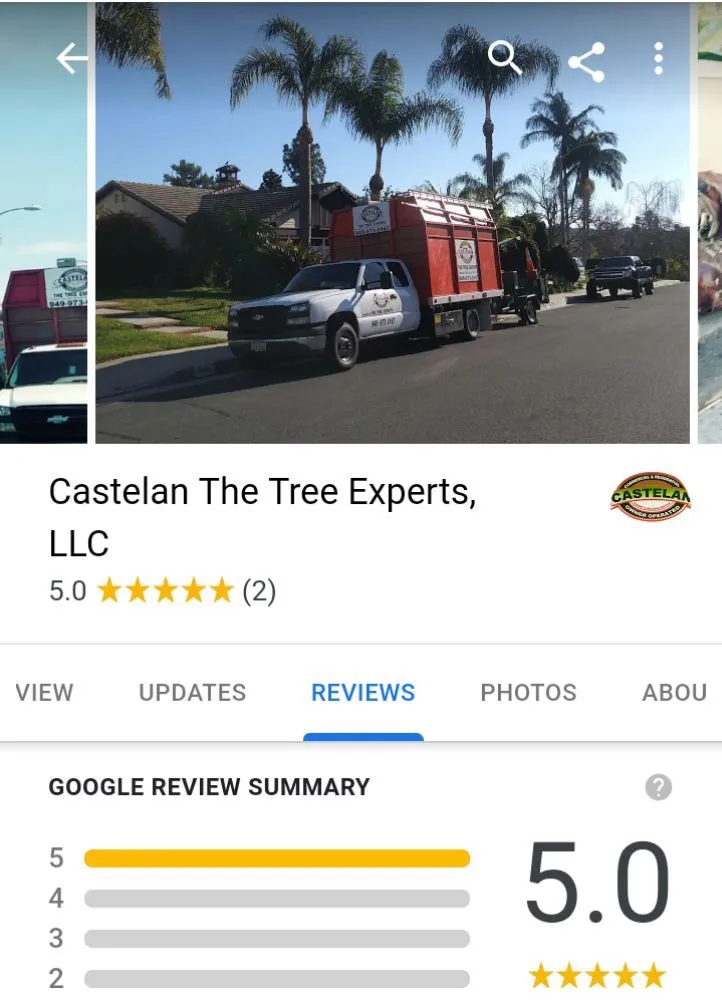 Affordable lawn mowing service in Santa Ana, CA by Castelan The Tree Experts 