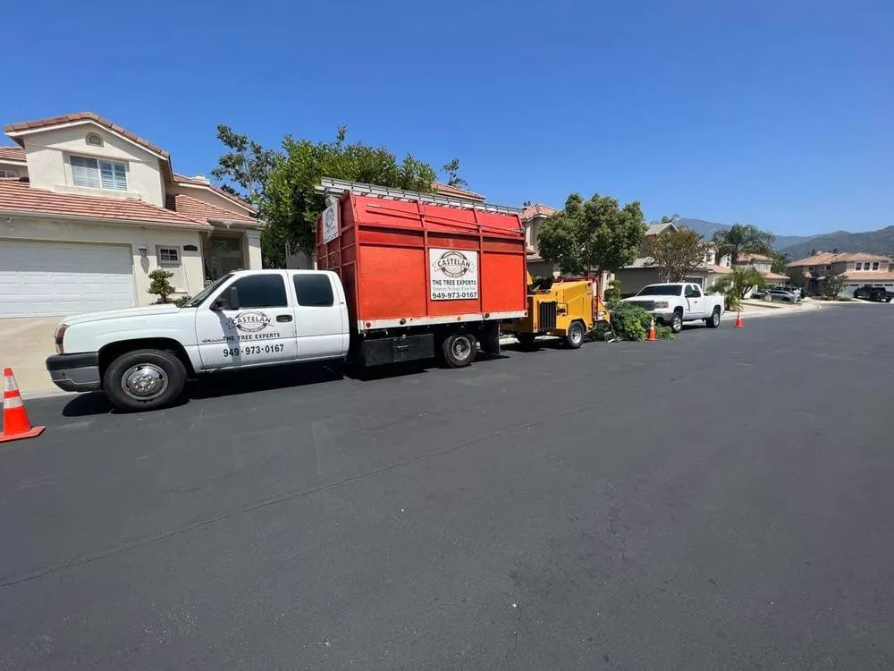 Top-rated landscaping services experts serving Santa Ana, CA - Castelan The Tree Experts 