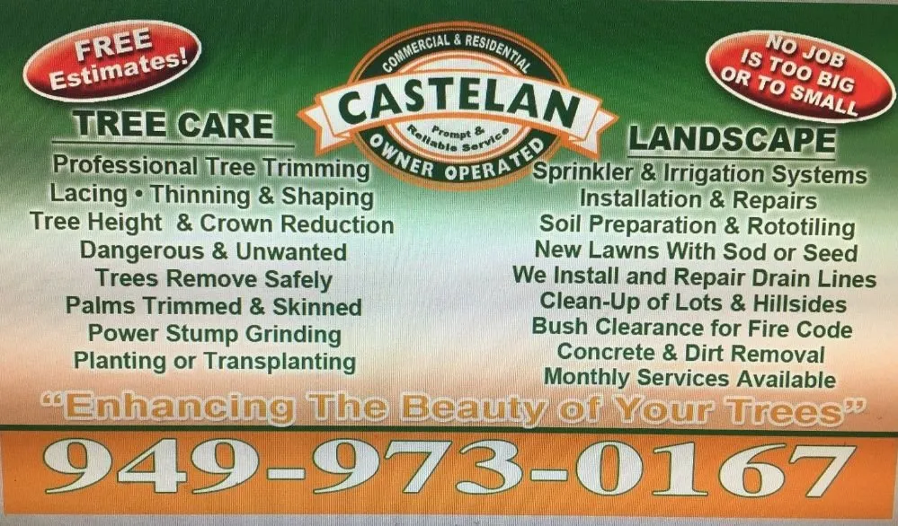 Local landscaping services in Santa Ana, CA - Castelan The Tree Experts 