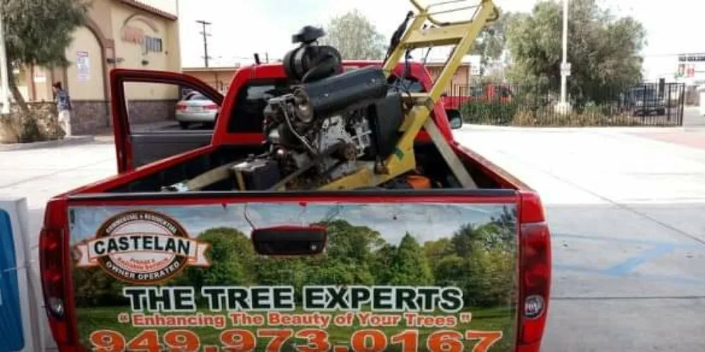 Expert garden landscaping in Santa Ana, CA by Castelan The Tree Experts 