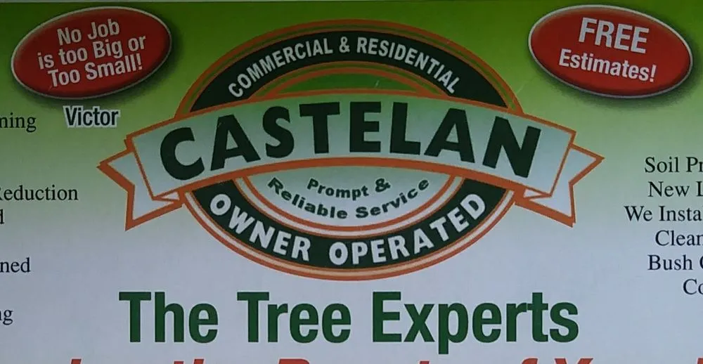Reliable landscape installation near you across Santa Ana, CA - Castelan The Tree Experts 
