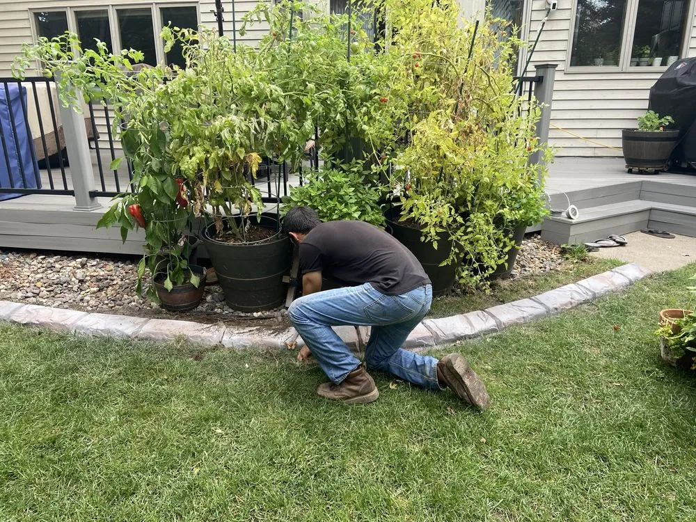 Trusted landscape design in Minneapolis, MN by Castell Construction