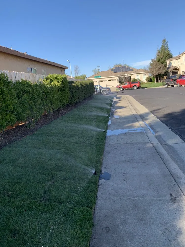 Affordable landscape design in Citrus Heights, CA - Castellanos Landscape Pro