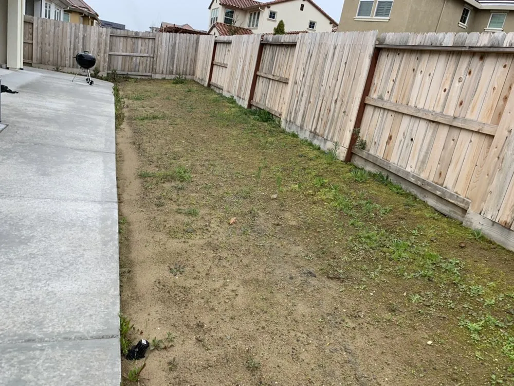 Expert lawn mowing service for residential properties across Citrus Heights, CA - Castellanos Landscape Pro