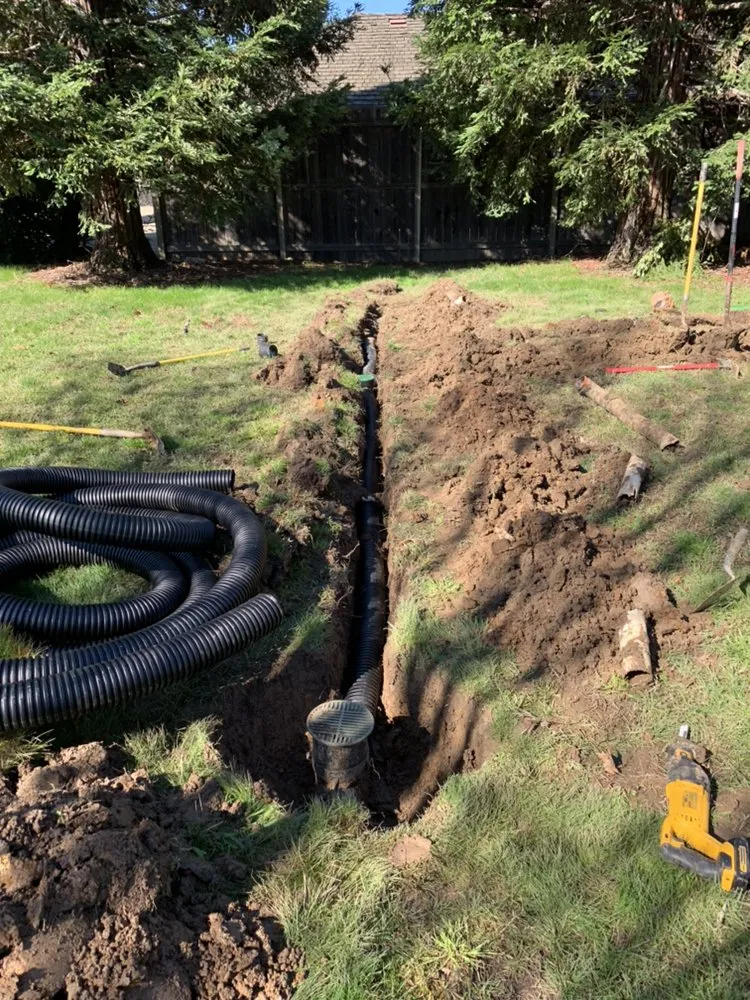 Custom yard cleanup service experts serving Citrus Heights, CA - Castellanos Landscape Pro