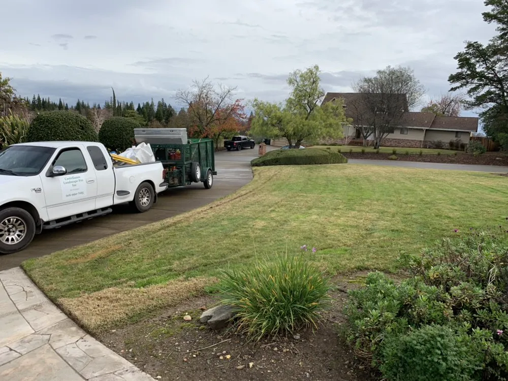 Affordable residential landscaping for homes in Citrus Heights, CA by Castellanos Landscape Pro
