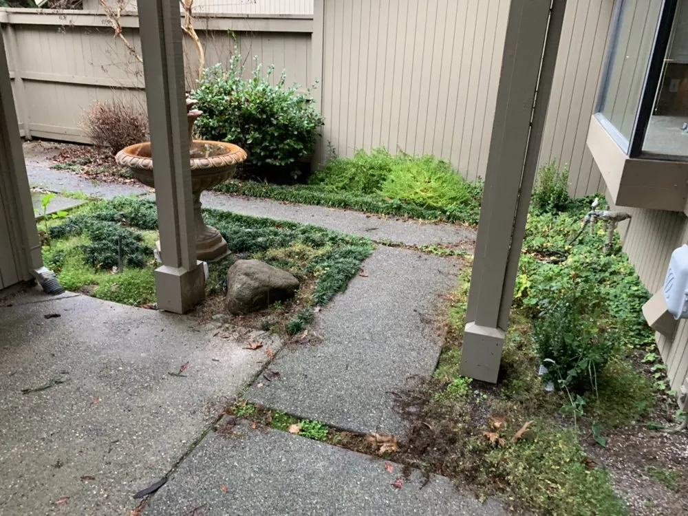 Professional landscape design in Citrus Heights, CA - Castellanos Landscape Pro