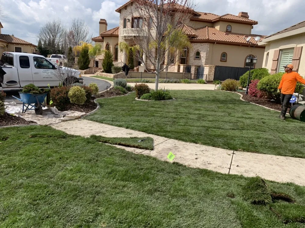 Expert yard maintenance experts serving Citrus Heights, CA - Castellanos Landscape Pro
