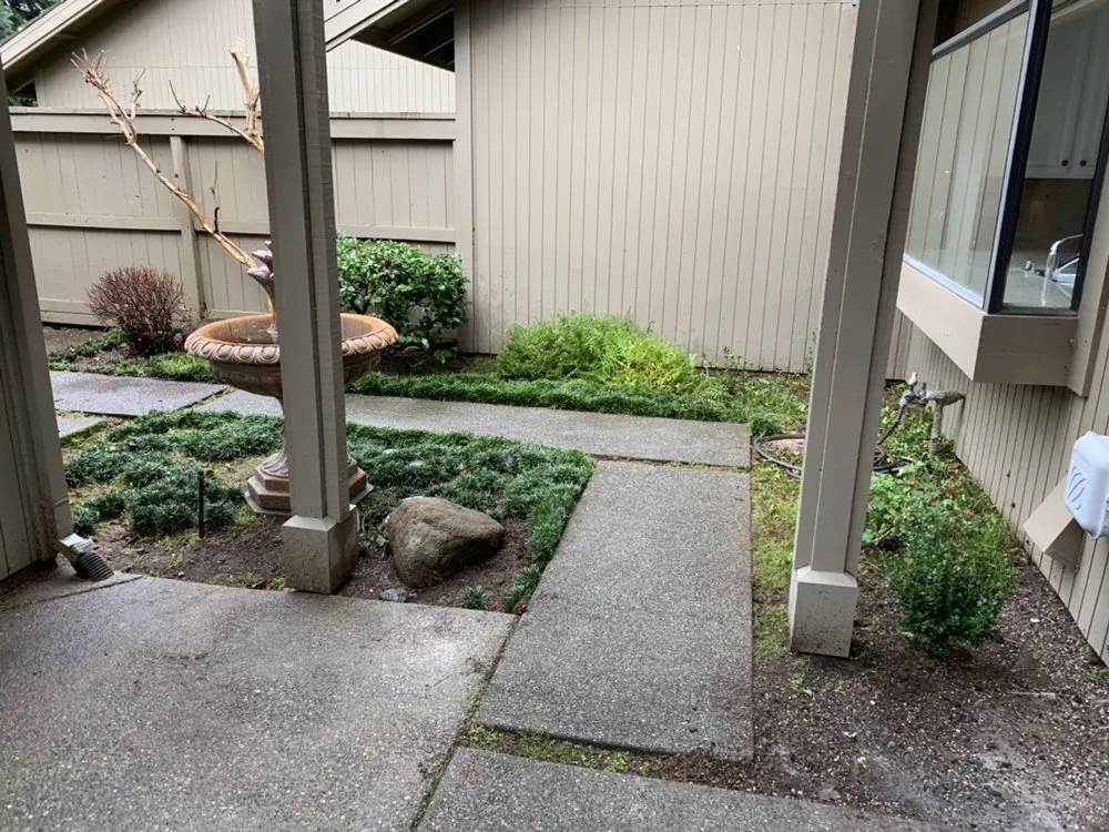 Reliable yard cleanup service in Citrus Heights, CA - Castellanos Landscape Pro