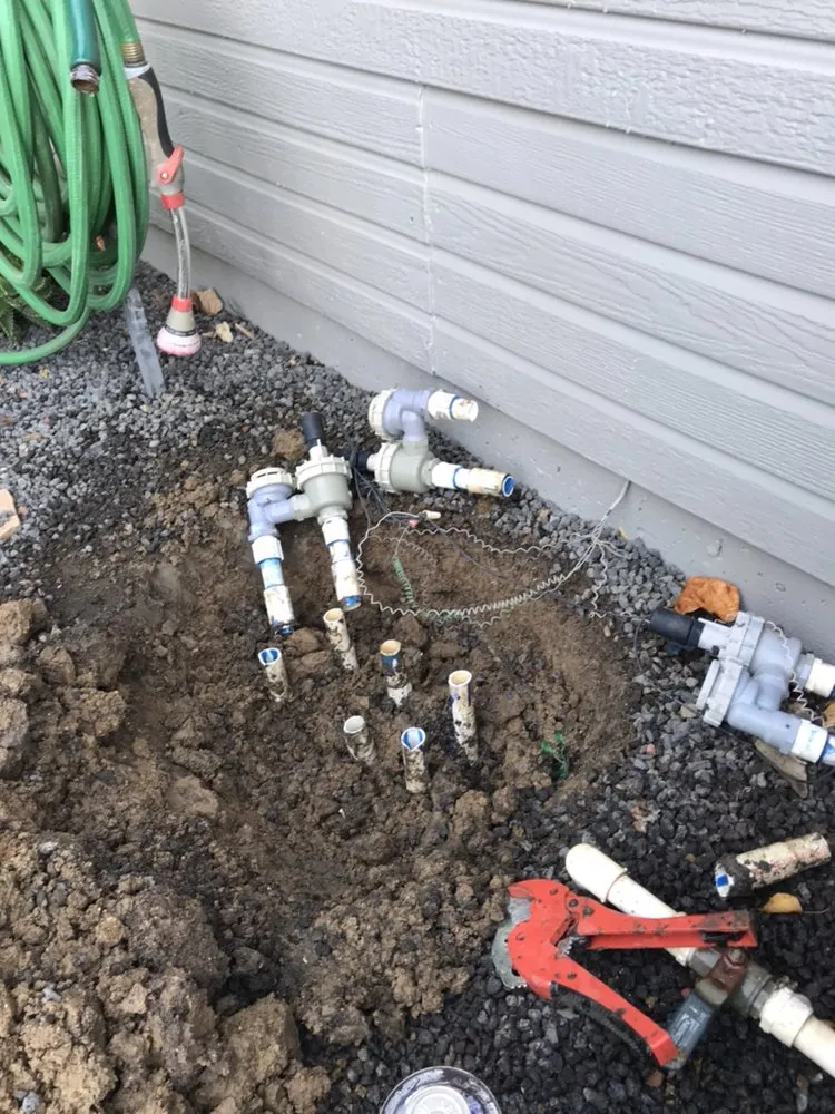 Local landscape design for homes across Citrus Heights, CA - Castellanos Landscape Pro