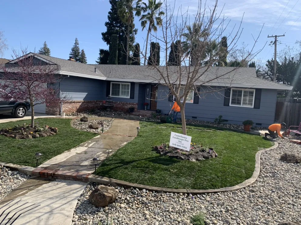 Trusted yard maintenance near you across Citrus Heights, CA - Castellanos Landscape Pro