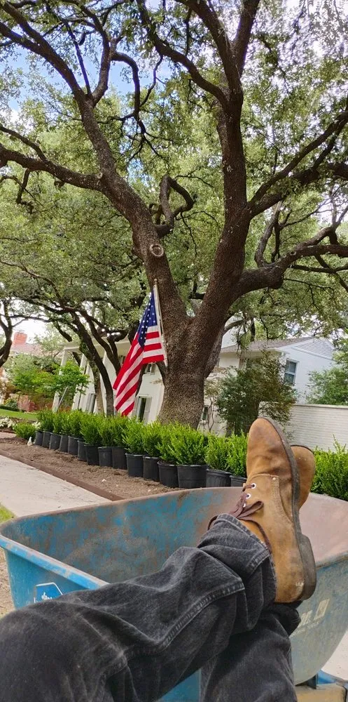 Reliable yard maintenance in Fort Worth, TX by Castellanos landscaping