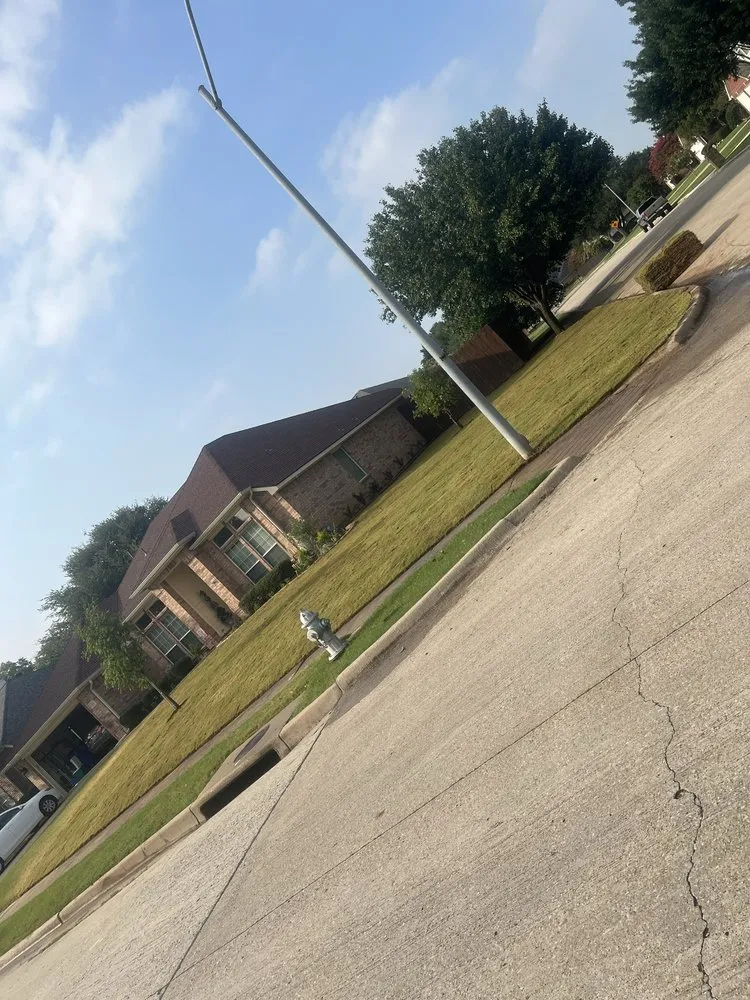 Trusted yard cleanup service for year-round maintenance in Fort Worth, TX by Castellanos landscaping