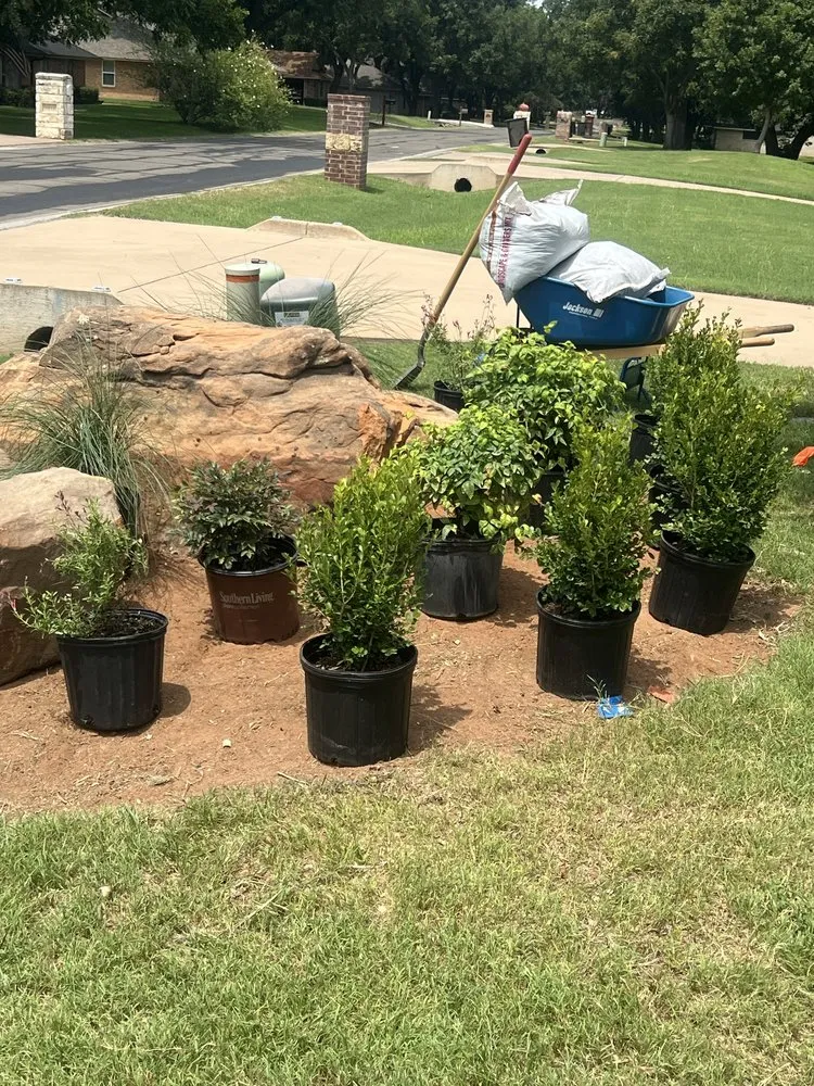 Affordable yard cleanup service experts serving Fort Worth, TX - Castellanos landscaping