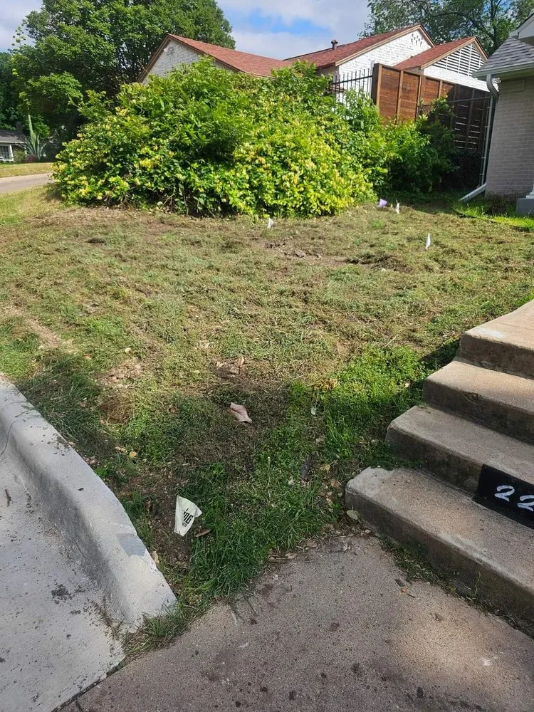 Top-rated landscaping services experts serving Fort Worth, TX - Castellanos landscaping