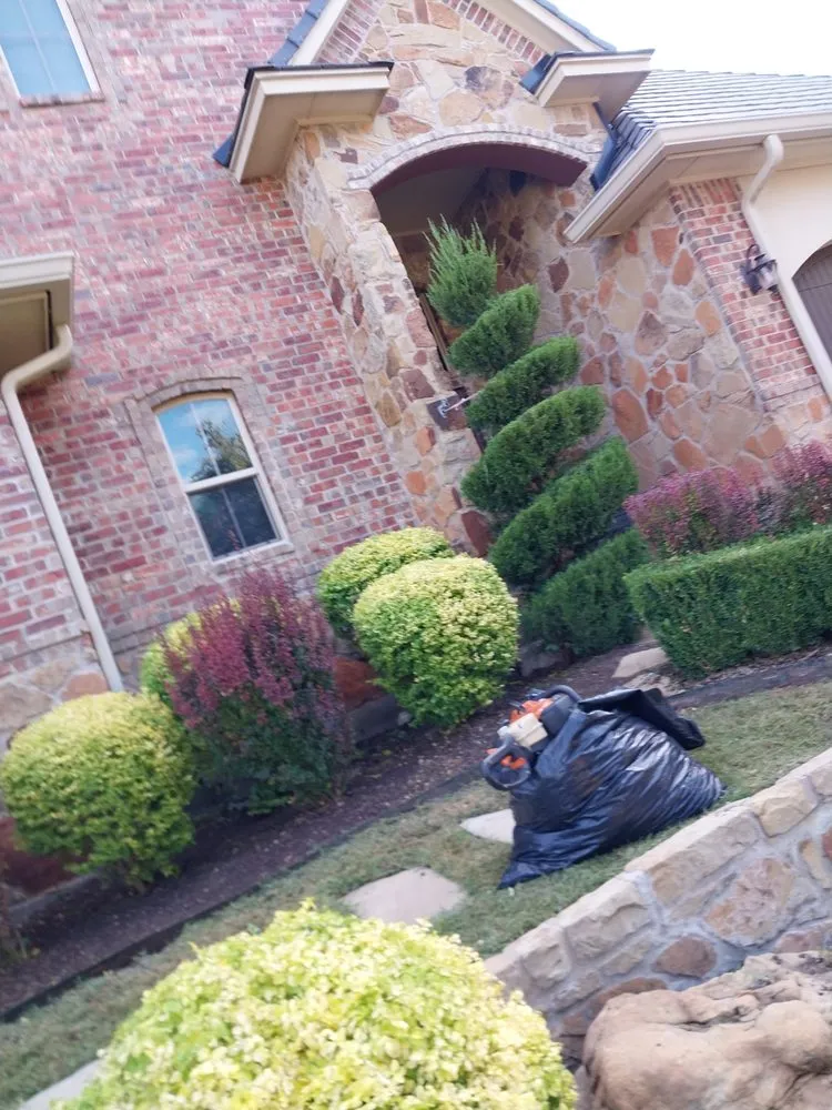 Professional lawn care service experts serving Fort Worth, TX - Castellanos landscaping