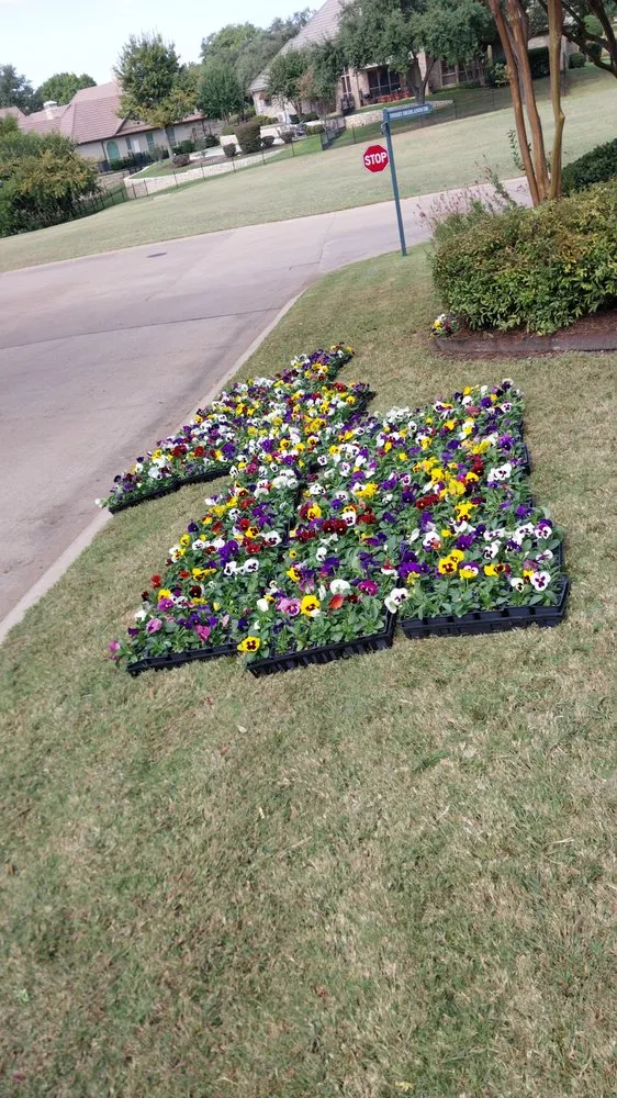 Reliable landscape design near you in Fort Worth, TX by Castellanos landscaping