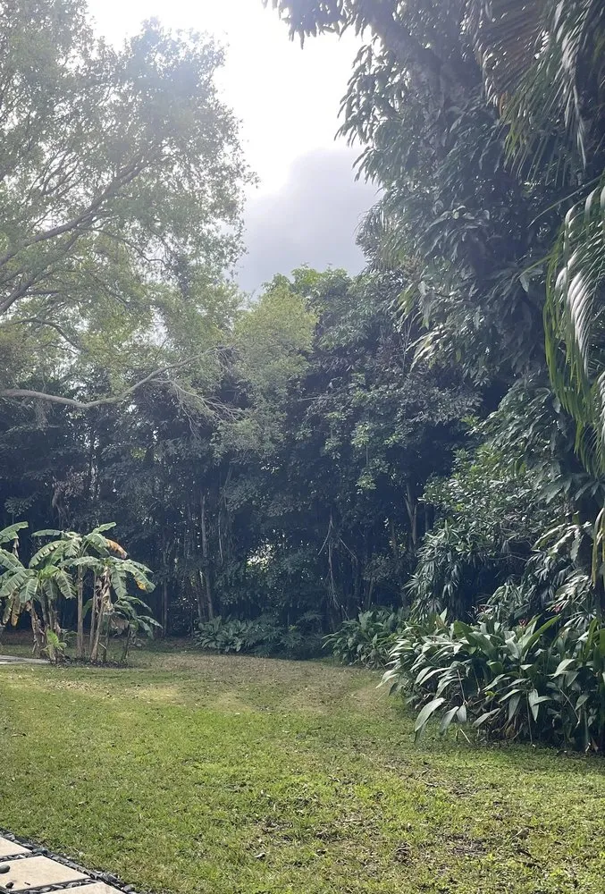 Professional outdoor landscaping for homes across Stuart, FL - Castellanos Landscaping