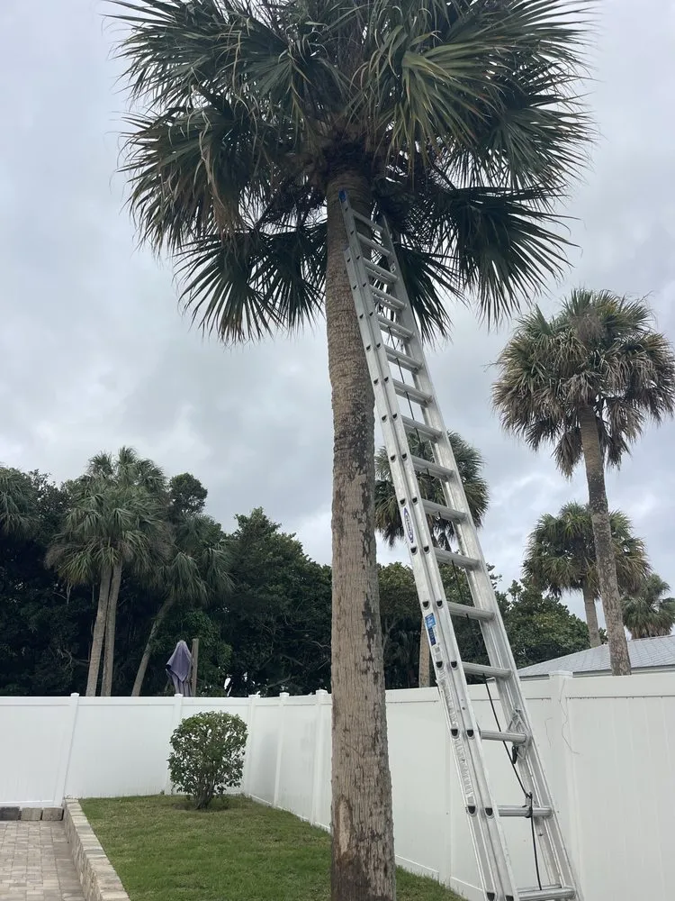 Reliable lawn mowing service for residential properties across Stuart, FL - Castellanos Landscaping