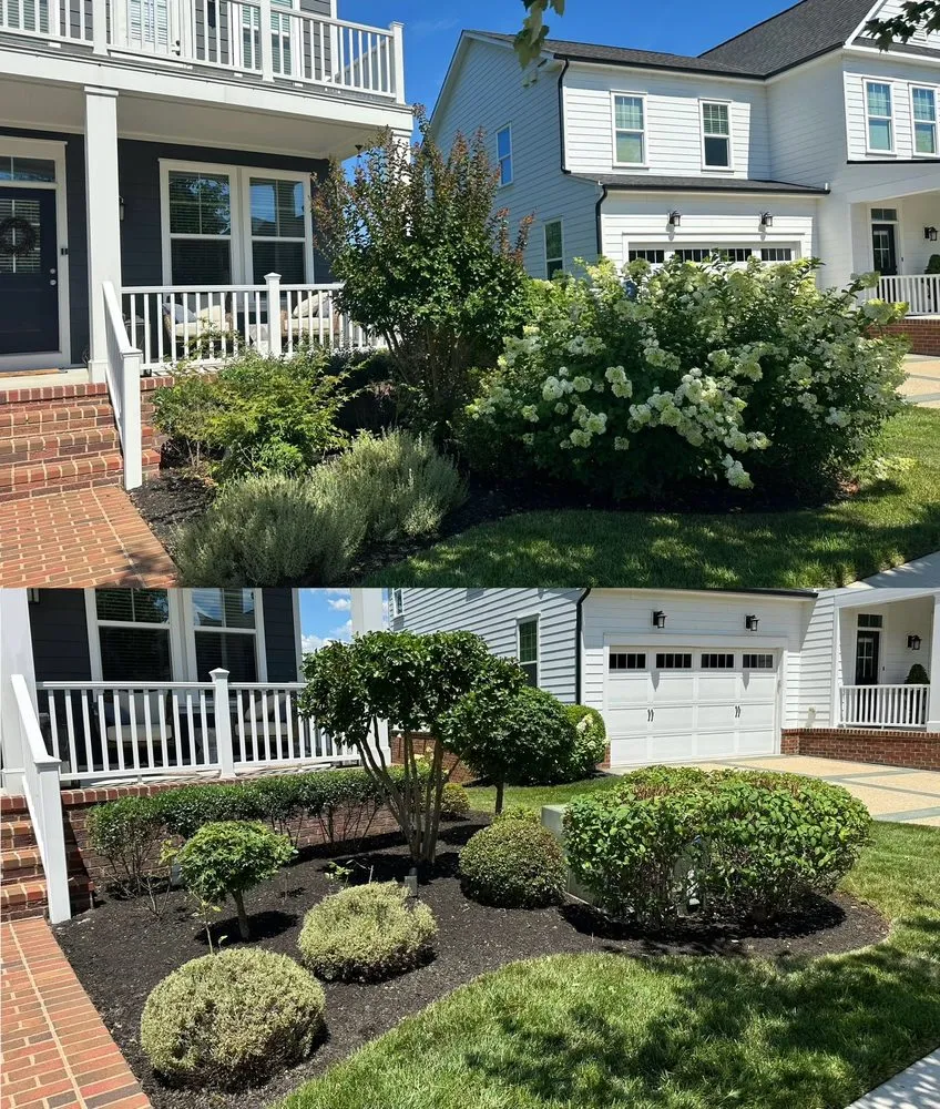 Affordable yard cleanup service in Woodbridge, VA by Castellanos Landscaping