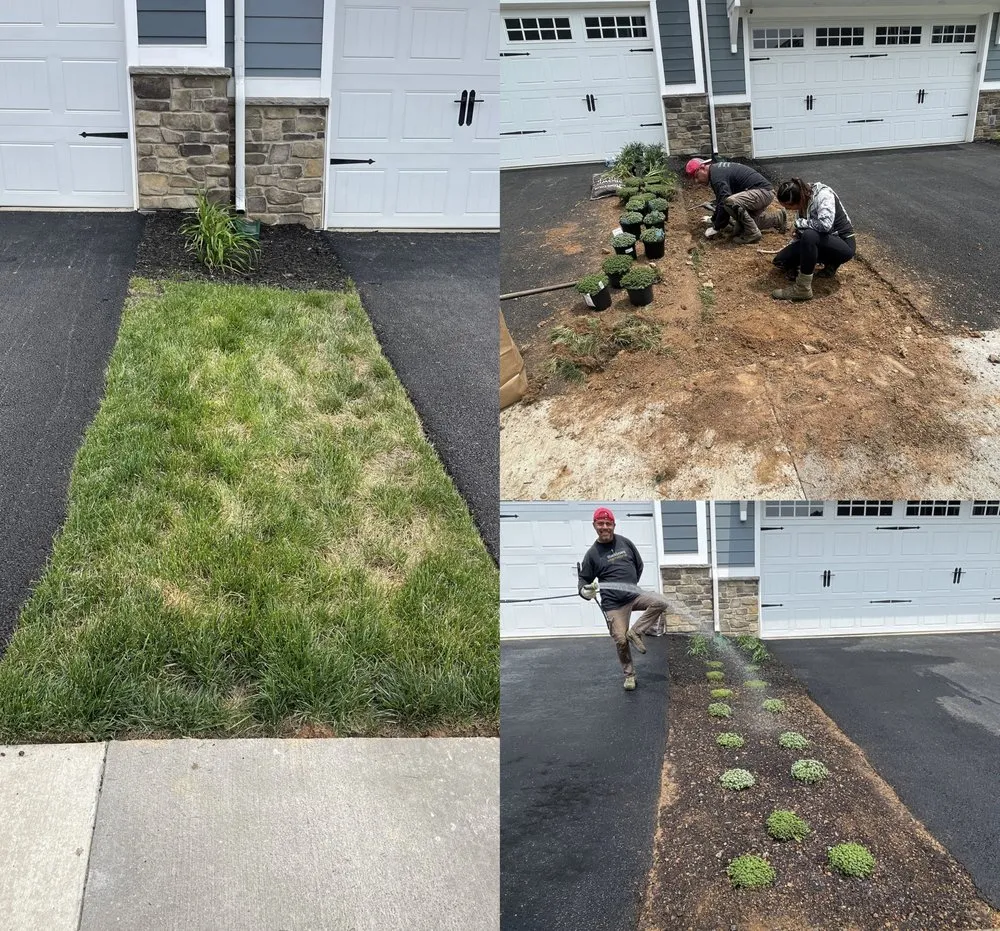 Local yard cleanup service experts serving Woodbridge, VA - Castellanos Landscaping