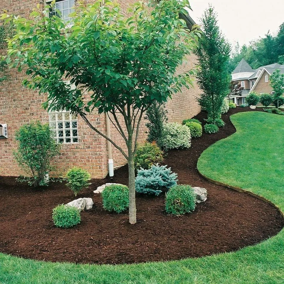 Reliable residential landscaping in Selma, CA - Castellanos Service