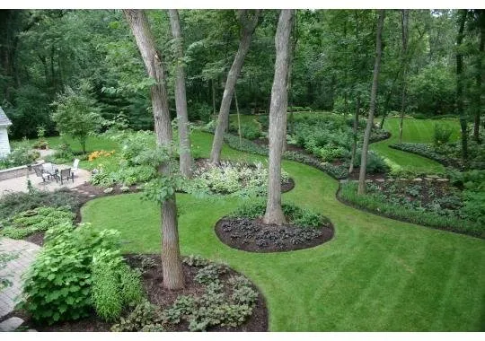 Top-rated lawn care service for residential properties across Selma, CA - Castellanos Service