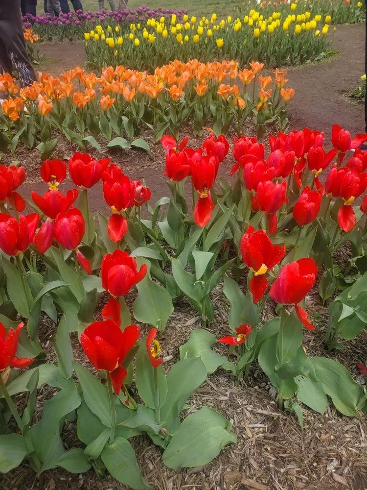 Custom outdoor landscaping experts serving Salisbury, MD - Castellanos Yard Services